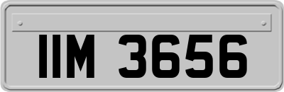 IIM3656