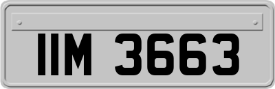 IIM3663