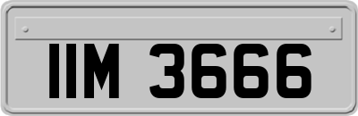 IIM3666
