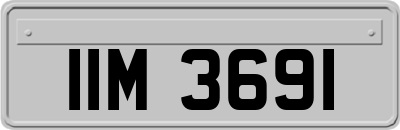 IIM3691
