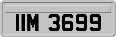 IIM3699