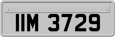 IIM3729