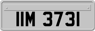 IIM3731