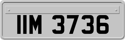 IIM3736