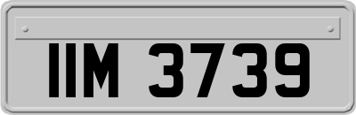 IIM3739