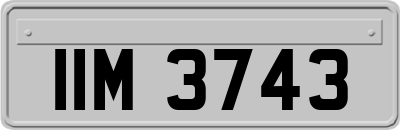IIM3743