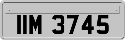 IIM3745