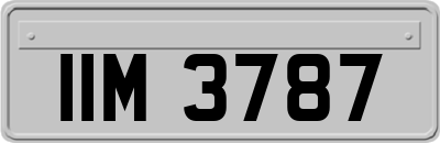 IIM3787
