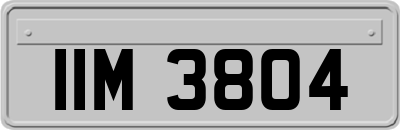 IIM3804