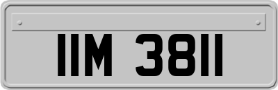 IIM3811