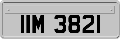 IIM3821