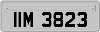 IIM3823