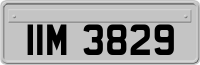 IIM3829