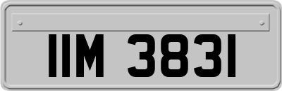 IIM3831