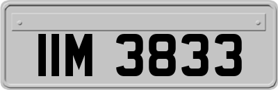IIM3833