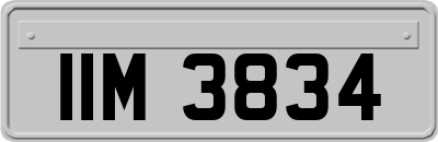 IIM3834