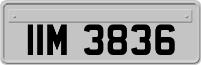 IIM3836