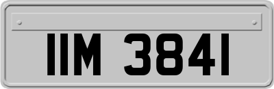 IIM3841