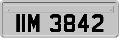 IIM3842