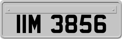 IIM3856