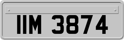 IIM3874