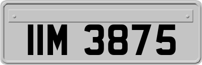 IIM3875