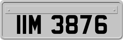 IIM3876