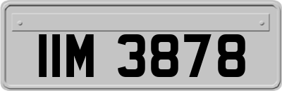 IIM3878