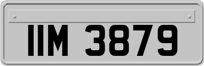 IIM3879
