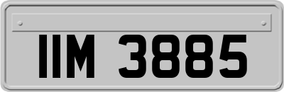 IIM3885