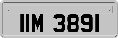 IIM3891