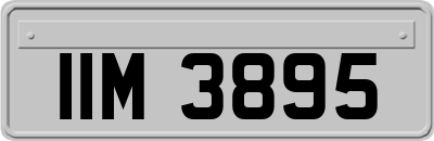 IIM3895