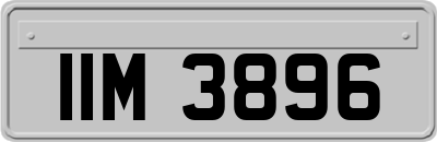 IIM3896