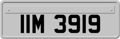 IIM3919
