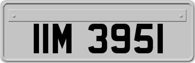 IIM3951