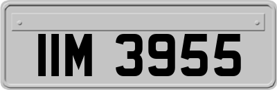 IIM3955