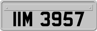 IIM3957