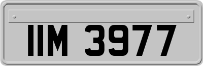 IIM3977