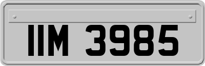 IIM3985