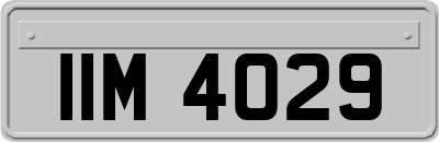 IIM4029
