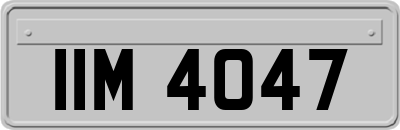 IIM4047