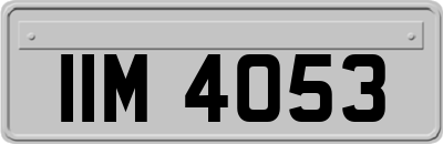 IIM4053