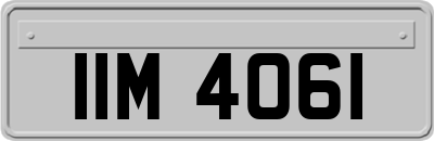 IIM4061