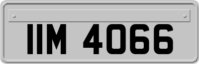 IIM4066