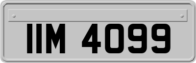 IIM4099