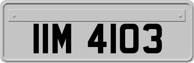IIM4103