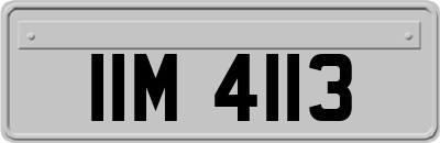 IIM4113