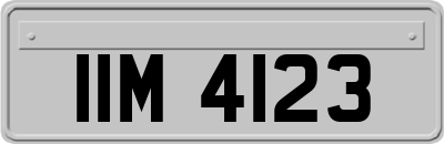 IIM4123