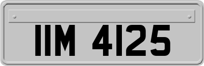 IIM4125