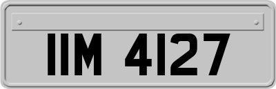 IIM4127